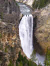 Lower Yellowstone Falls (516415 bytes)